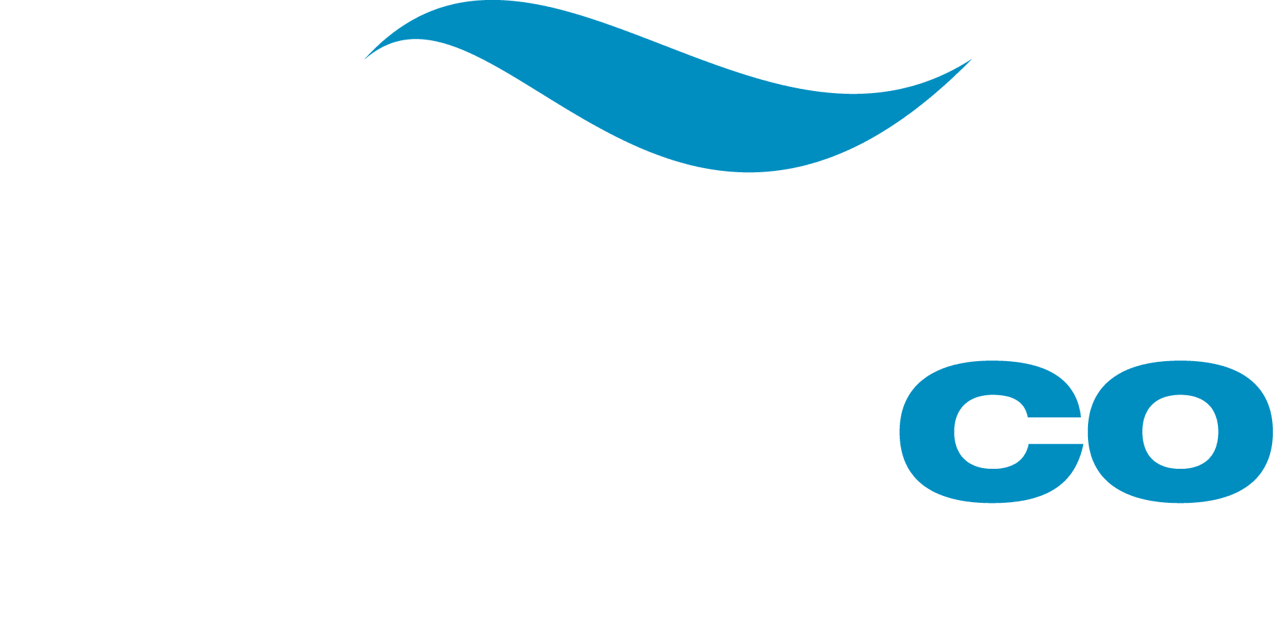 Cruiseco Logo