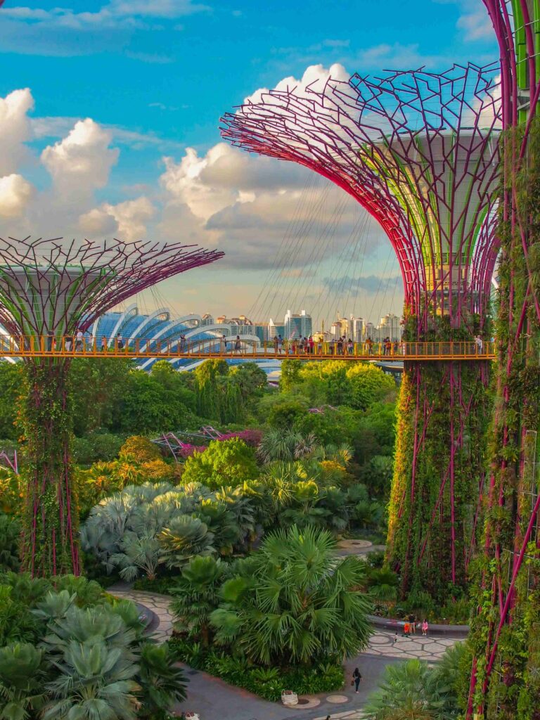 coleen-rivas-OZ2rS2zCjNo-unsplash Gardens by the Bay